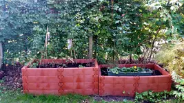 20161024_114047.2.webp