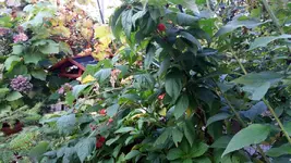 20161024_114129.2.webp