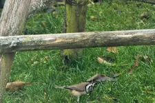 DSCF7761 (2).webp