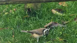 DSCF7761 (3).webp