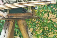 DSCF7765 (2).webp