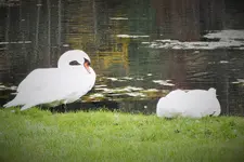 DSCF7749 (2).webp