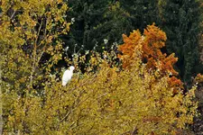 DSCF7750 (2).webp