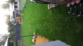 PHOTO_20161027_092206.webp