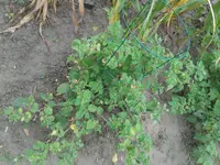 20160829_164645.webp