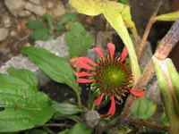 001_1280x960.webp