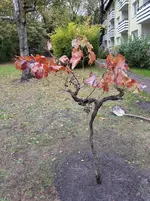 20161019_140321.jpg