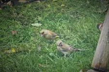 DSCF7759 (2).webp