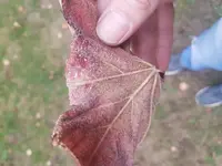20161028_084347.webp