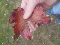 20161028_084353.webp