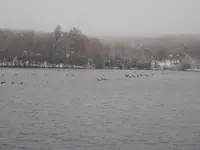 PA270328.webp