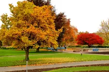 2016-10-27-9959 - Kopie.webp