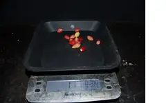 Erdbeeren.webp