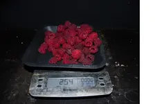 Himbeeren.webp
