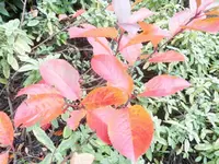 DSCI0664.webp