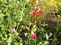 IMG_7553.webp
