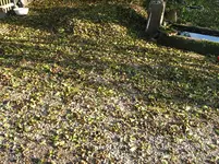 IMG_7572.webp