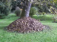 BILD6013.webp