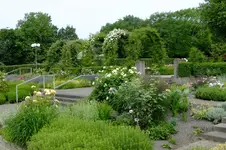 2016_06223april20160015.JPG