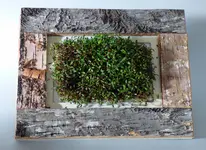P1030512 KresseArt.webp