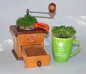 P1030529 Kressekaffee.webp