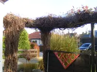 Weinschnitt1.jpg