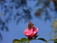 P1240846.webp