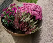 DSC00001.webp