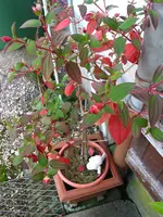 IMG_7573.webp