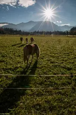 IMG_9229-2.webp