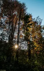 IMG_9274-2.webp