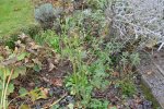 2016-10-29 Schneewittchen1.JPG