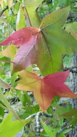 20161029_164925_resized.webp