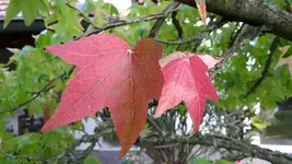 20161029_164909_resized.webp
