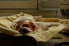 Estrella_hard life_900.webp