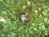 BILD5980.webp