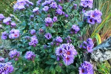 DSCF7793 (2).webp