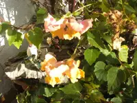 BILD5996.webp