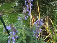 BILD6000.webp