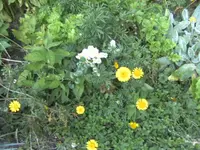 BILD6002.webp