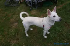 comp_DSC05990.webp