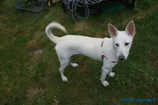 comp_DSC05991.webp