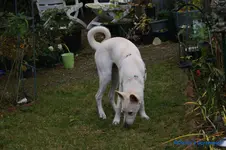 comp_DSC05994.webp