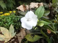 DSCI0797 (1).webp