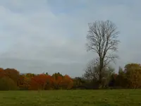 P1020228.webp