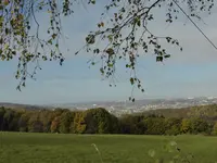 P1020230.webp