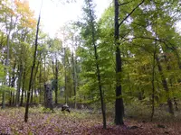 P1020232.webp