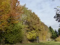 P1020234.webp