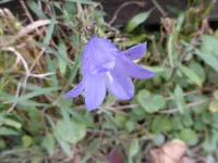 P1020236.webp