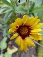 P1020241.webp